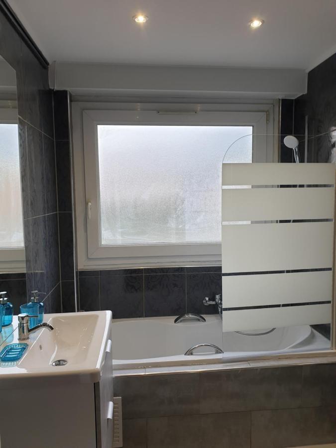 Appartement La Roseraie Proche Centre/Gare Metz Luaran gambar