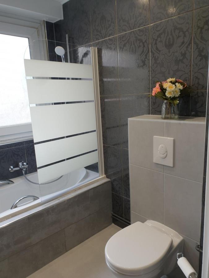 Appartement La Roseraie Proche Centre/Gare Metz Luaran gambar